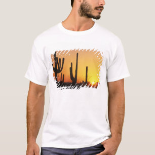 T-shirt N.A., États-Unis, AZ, Saguaro NP, Saguaro Sunset