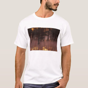 T-shirt N.A., États-Unis, Géorgie, George Smith State Park