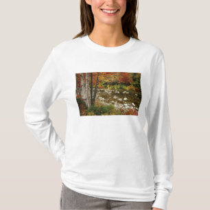 T-shirt N.A., États-Unis, New Hampshire, White Mountains,