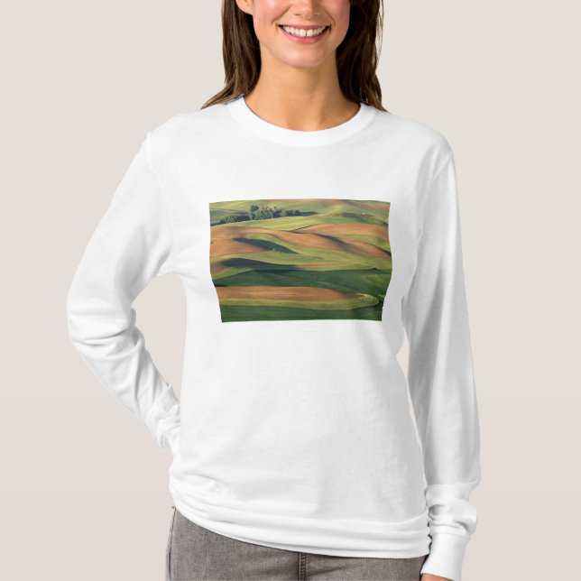 T-shirt N.A., États-Unis, Washington, comté de Whitman. (Devant)