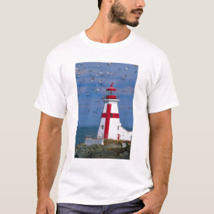 T-shirt NA, Canada, Nouveau-Brunswick, île Campobello. 8