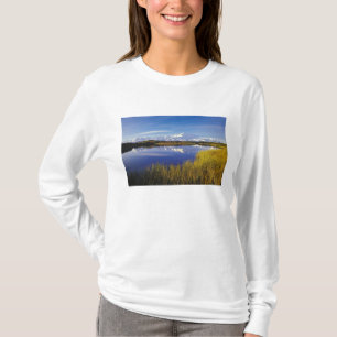 T-shirt NA, États-Unis, Alaska, Parc national Denali Mt. M