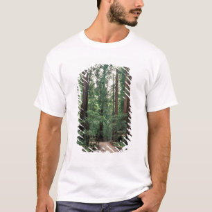 T-shirt NA, États-Unis, Californie, Comté de Marin, Muir W