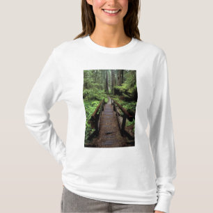 T-shirt NA, États-Unis, Californie, Jedidiah Smith Redwood