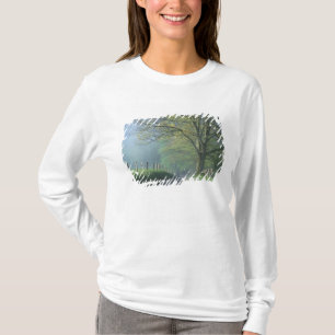 T-shirt NA, États-Unis, Tennessee, Cades Cove, Great Smoky