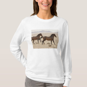 T-shirt Namibie, Aus. Chevaux sauvages courant sur le Nami