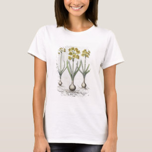 T-shirt Narcisses de Tazetta, du 'Hortus l'Eystettensis