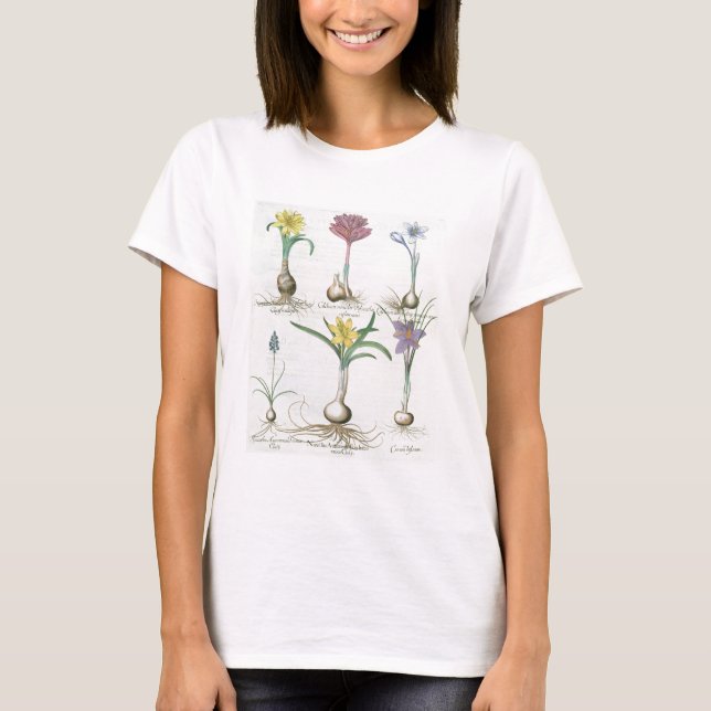 T-shirt Narcissi, Crocus et Hyacinth : 1.Narcissus autum (Devant)