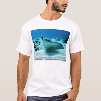 T-shirt Narinari d'Aetobatus (aigle de mer Repéré)