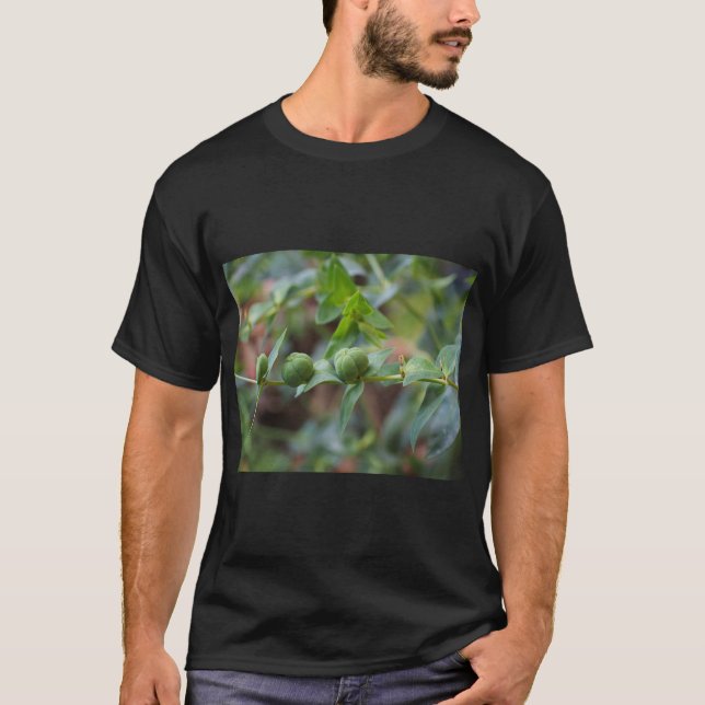 T-shirt Nature Asclépiade à feuilles croisées (Devant)