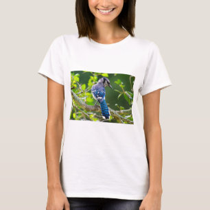 T-shirt Nature Photographie Shy Blue Jay Vêtements Cadeaux