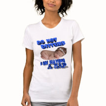 NE DÉRANGEZ PAS, J'AI UN PAN