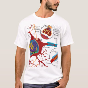 T-shirt Nerf de neurones sain