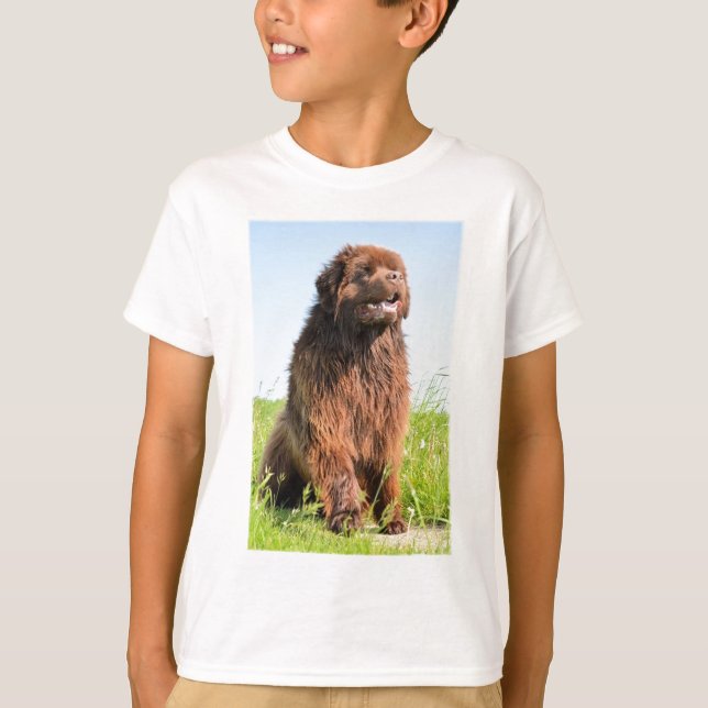 T-shirt newfie sitting.png (Devant)