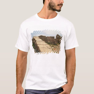 T-shirt Nilomètre, de la morgue