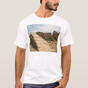T-shirt Nilomètre, de la morgue