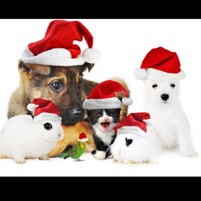 T-Shirt Noël animal (Fun Festive Style Red Hats Cute T-Shirt!)