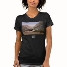 Norvégienne en calèche