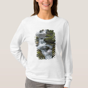 T-shirt Nouveau-Brunswick, Canada. Chutes Dickson dans Fun