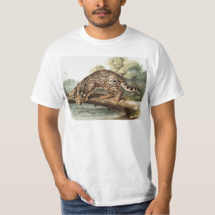 T-shirt Ocelot, chat léopard (Felis pardalis) Illustration
