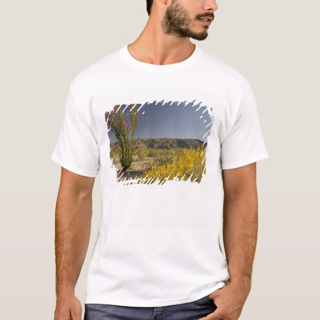 T-shirt Ocotillo et séné du désert (Devant)