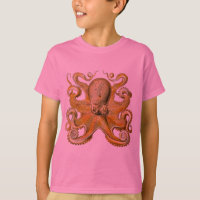 Octopus illustration antique monstre marin