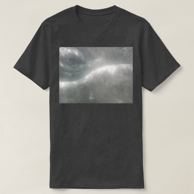 T-shirt Oeil de veau gris baleine 1 (Design devant)