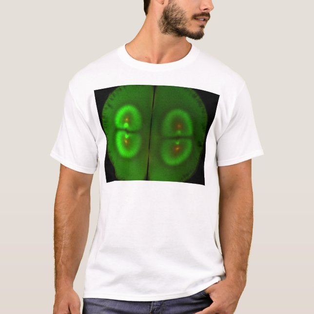 T-shirt Oeuf fertilisé de grenouille (Devant)