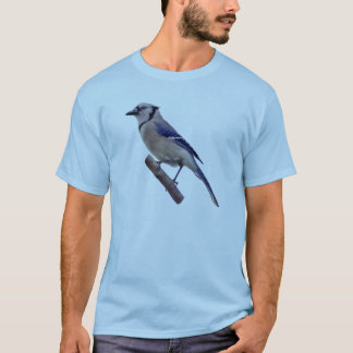 T-shirt Oiseau de geai bleu