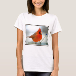 T-shirt Oiseau rouge cardinal