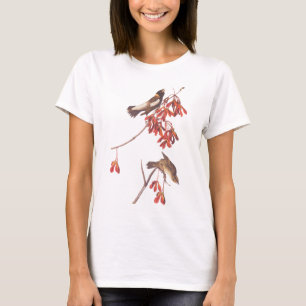 T-shirt Oiseaux de brume de riz d'Audubon ou oiseaux Bobol