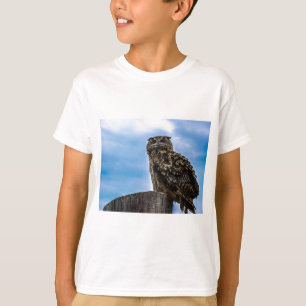 T-shirt Oiseaux de hibou Plumes Animaux Nature Destinée Pa