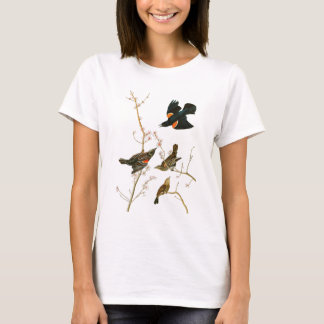 T-shirt Oiseaux de John Audubon de merle de marais de
