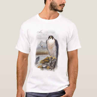 T-shirt Oiseaux de John Gould de faucon pérégrin de la