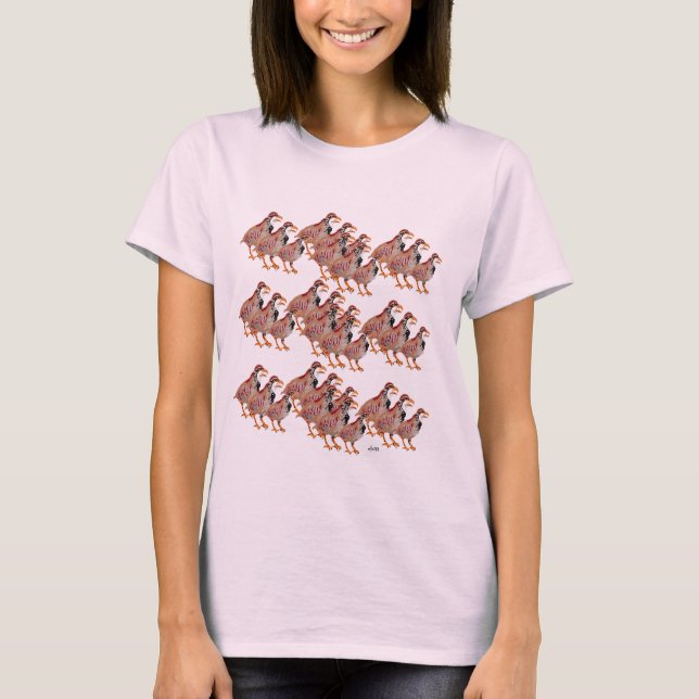 T-shirt : Oiseaux De Plumes (Devant)