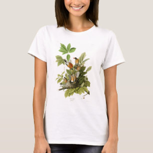 T-shirt Oiseaux de Robin John James Audubon d'Américain d