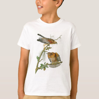 T-shirt oiseaux Rouge-épaulés de John Audubon de faucon de