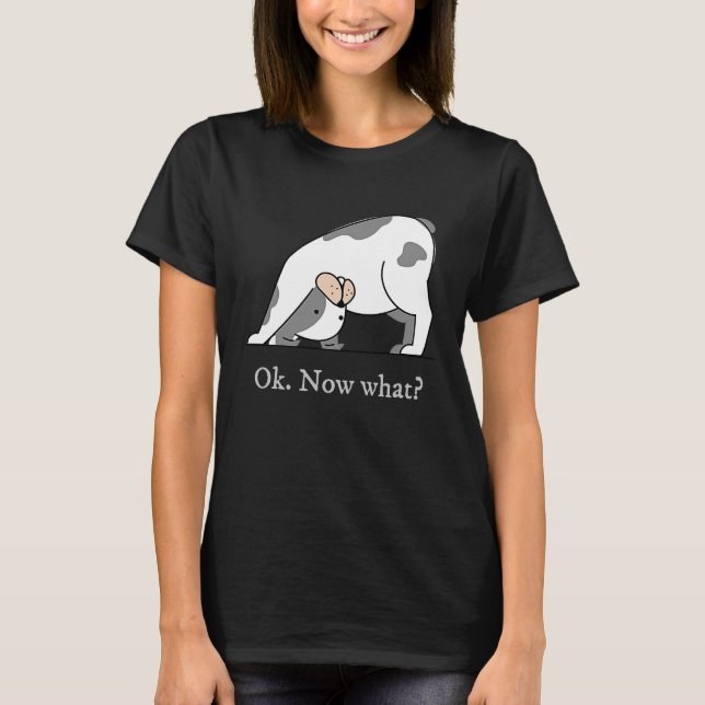 T-shirt Ok Now What Yoga Downward Dog Workout (Devant)