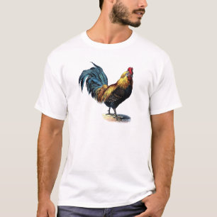 T-SHIRT OLD ROOSTER