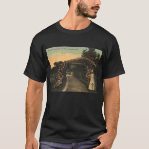 T-shirt Omaha Nebraska 1913 Hanscom Park Vintage