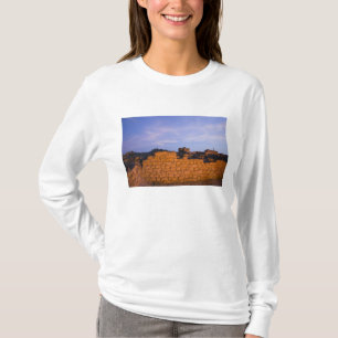 T-shirt Oman, région de Dhofar, Salalah. Al, Baleed