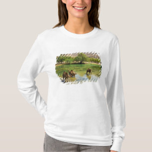 T-shirt Oman, Wadi Darbat