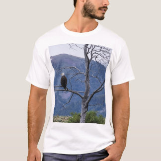 T-Shirt On Watch