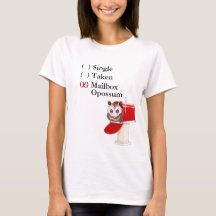 Opossum de boîte aux lettres