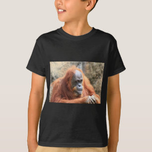 T-shirt Orang-outan