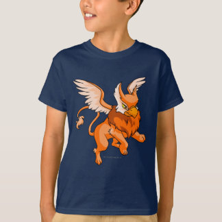 T-shirt Orange d'aire