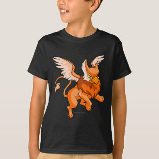 T-shirt Orange d'aire