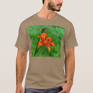 T-shirt Orange Daylily