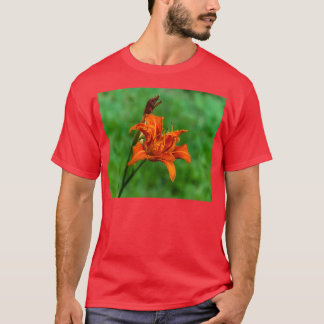 T-shirt Orange Daylily 2