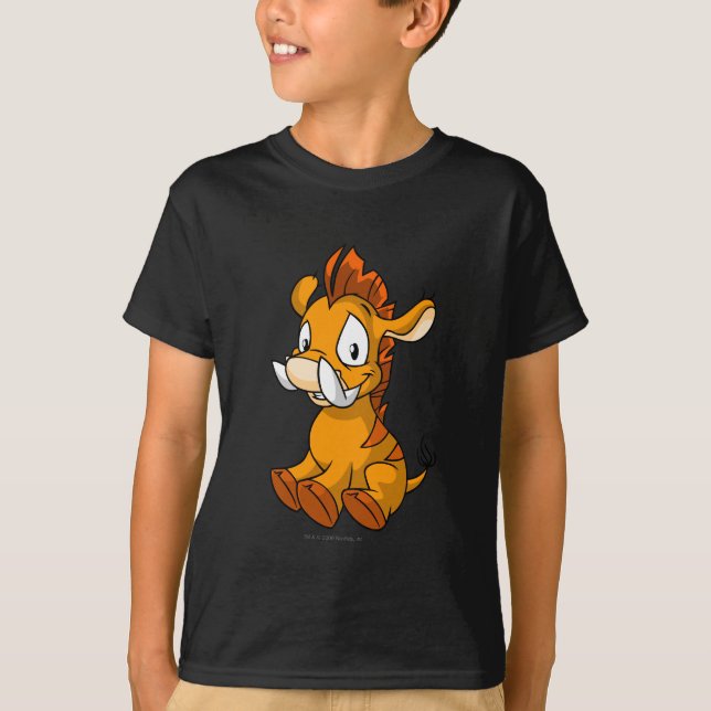 T-shirt Orange de Moehog (Devant)